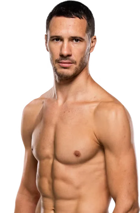 Borislav Nikolic