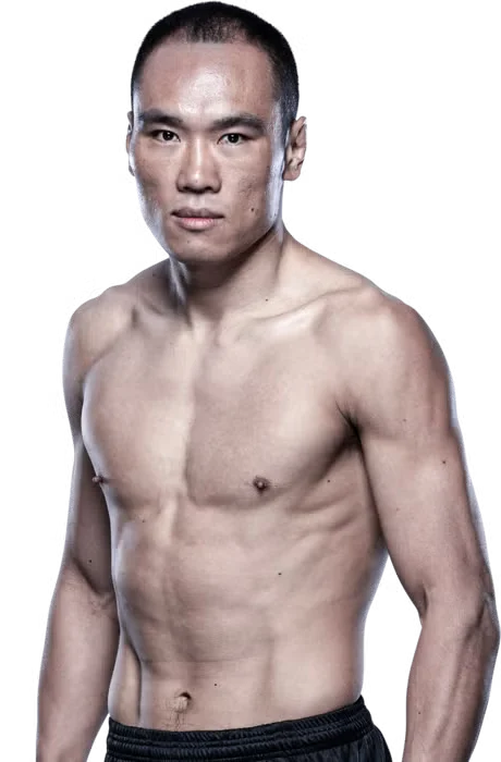 Ding Meng