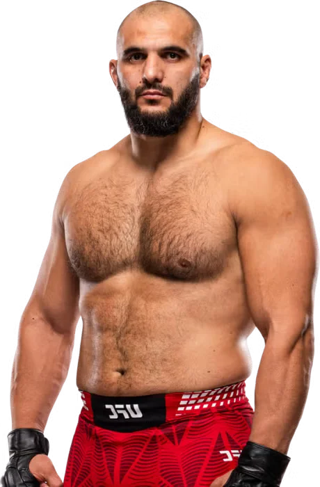Javad Mahjoub
