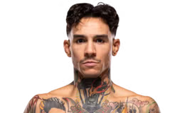 Andre Fili